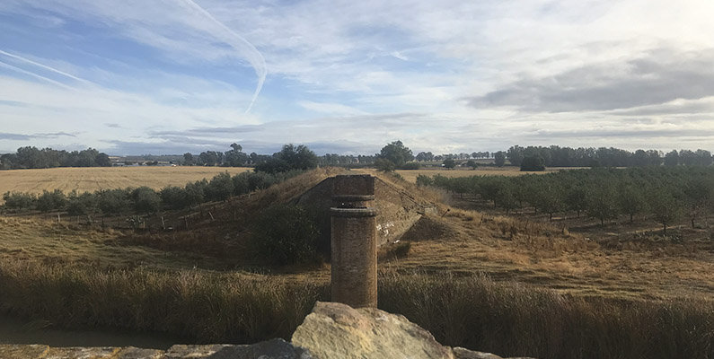 Rutas_Gerena_Eucaliptopizana3