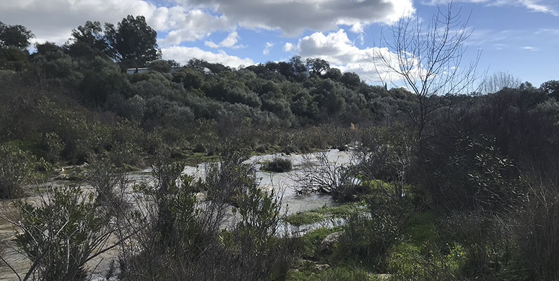 Rutas_Gerena_Molinoperdio3